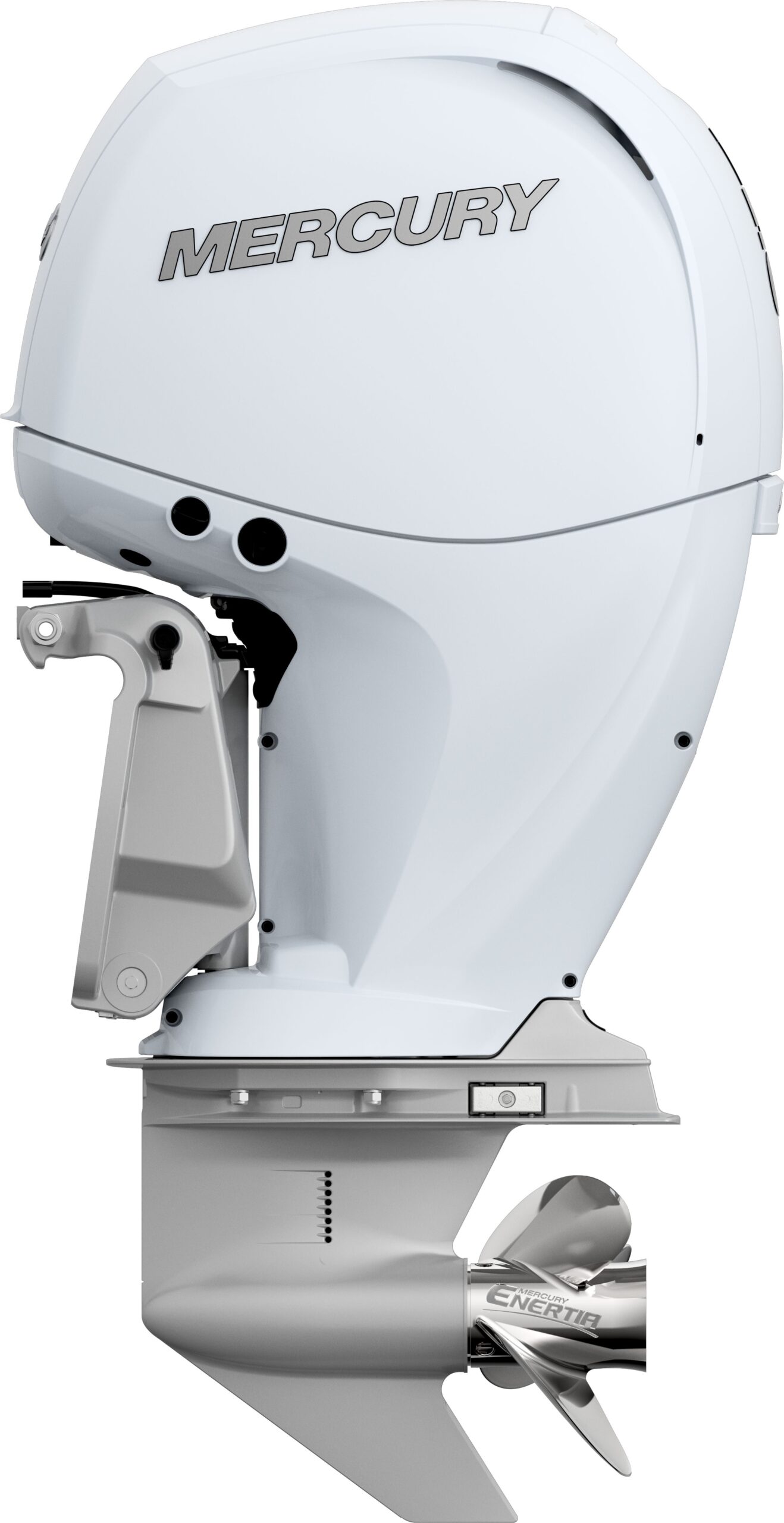 Mercury Fourstroke F150 - immagine 8