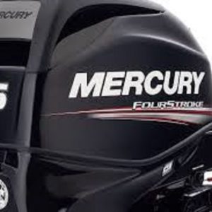 Mercury FourStroke F25