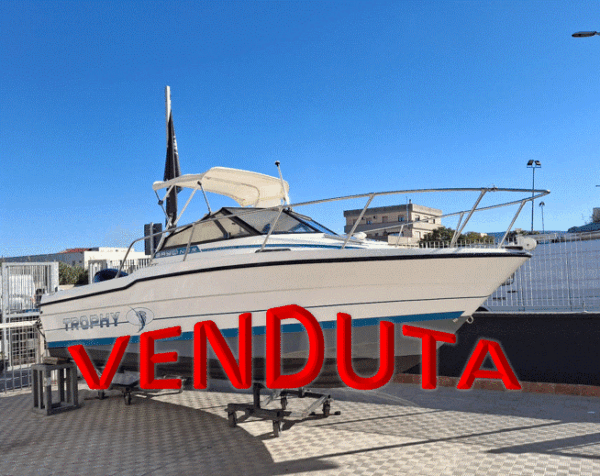 Bayliner Trophy wa 22